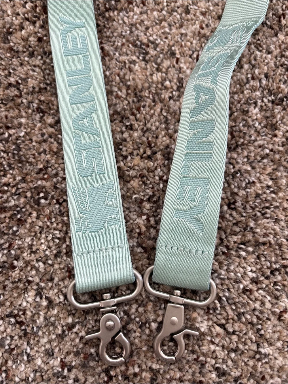 Stanley detachable mint